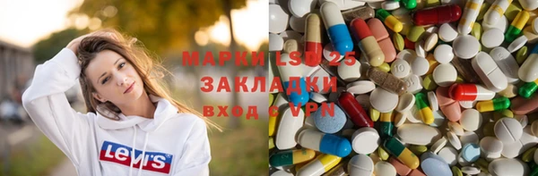 стаф Новокубанск