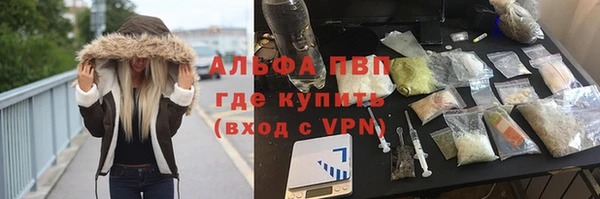 стаф Новокубанск