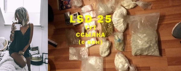 шишки Новозыбков