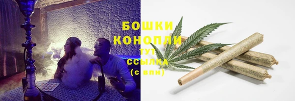 шишки Новозыбков