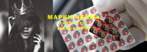шишки Новозыбков