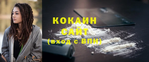 соль курить ск Новодвинск