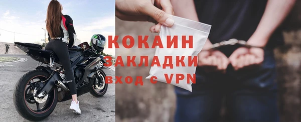 стаф Новокубанск
