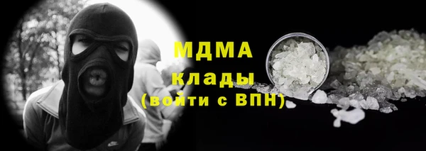 шишки Новозыбков
