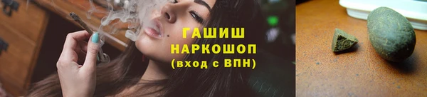 шишки Новозыбков