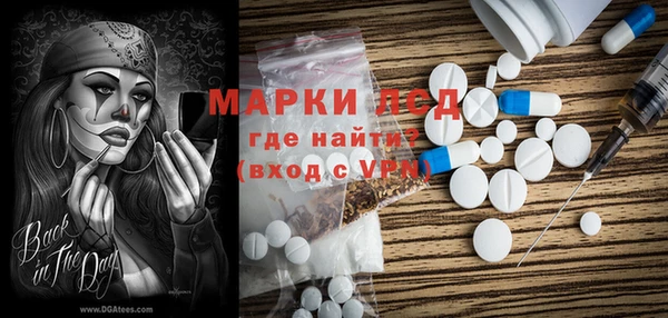 шишки Новозыбков