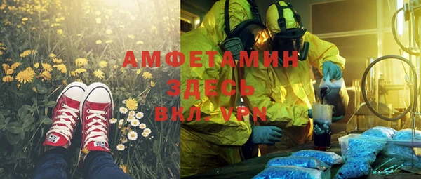 шишки Новозыбков