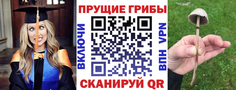 Псилоцибиновые грибы GOLDEN TEACHER  Купить закладки  Починок 